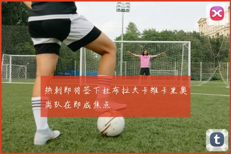 热刺即将签下杜布拉夫卡维卡里奥离队在即成焦点