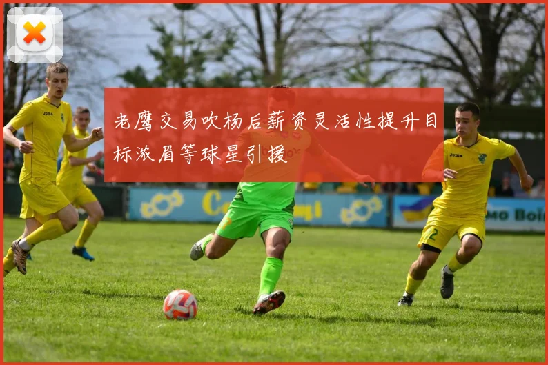 老鹰交易吹杨后薪资灵活性提升目标浓眉等球星引援